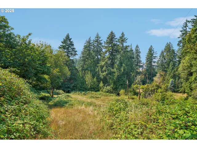 a view of outdoor space and yard