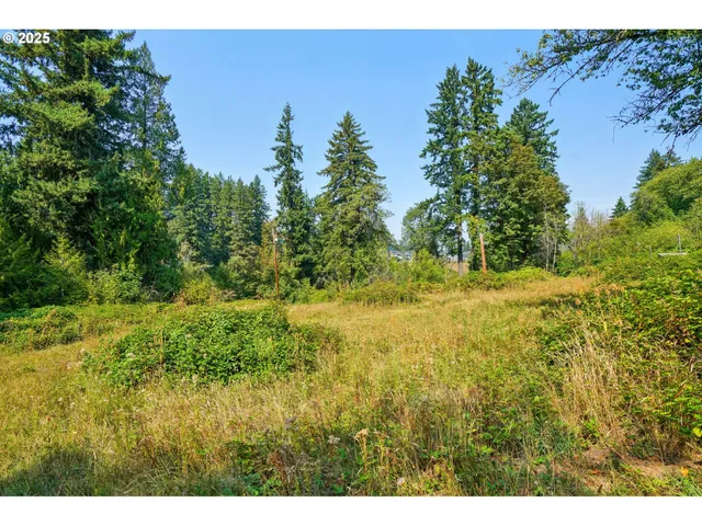 a view of a yard with a tree