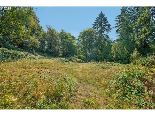 a view of outdoor space with trees all around
