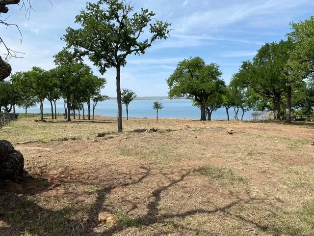 a street view with tall trees