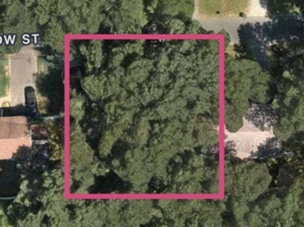 0 Woodrow Street Springfield, MA 01119 - Photo 3 of 6 a view of a flower garden