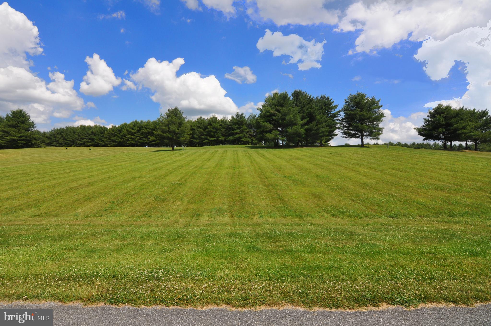 Lush lot awaits your home plans