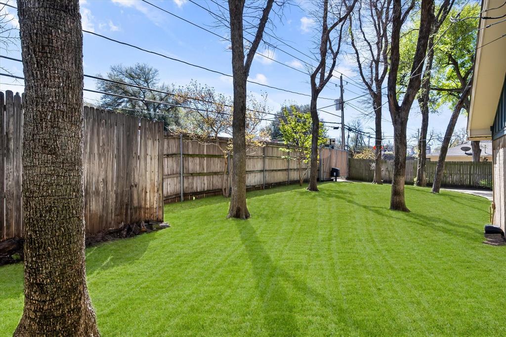 2003 Botts Drive Arlington, TX 76012 - Photo 39 of 40 a view of backyard with tree