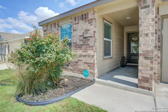 a view of a porch with plants