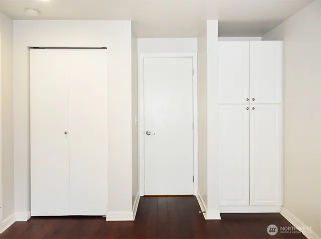 a view of walk in closet with rug