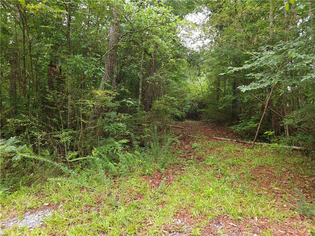 0 Potash Road Cedartown, GA 30125 - Photo 4 of 15