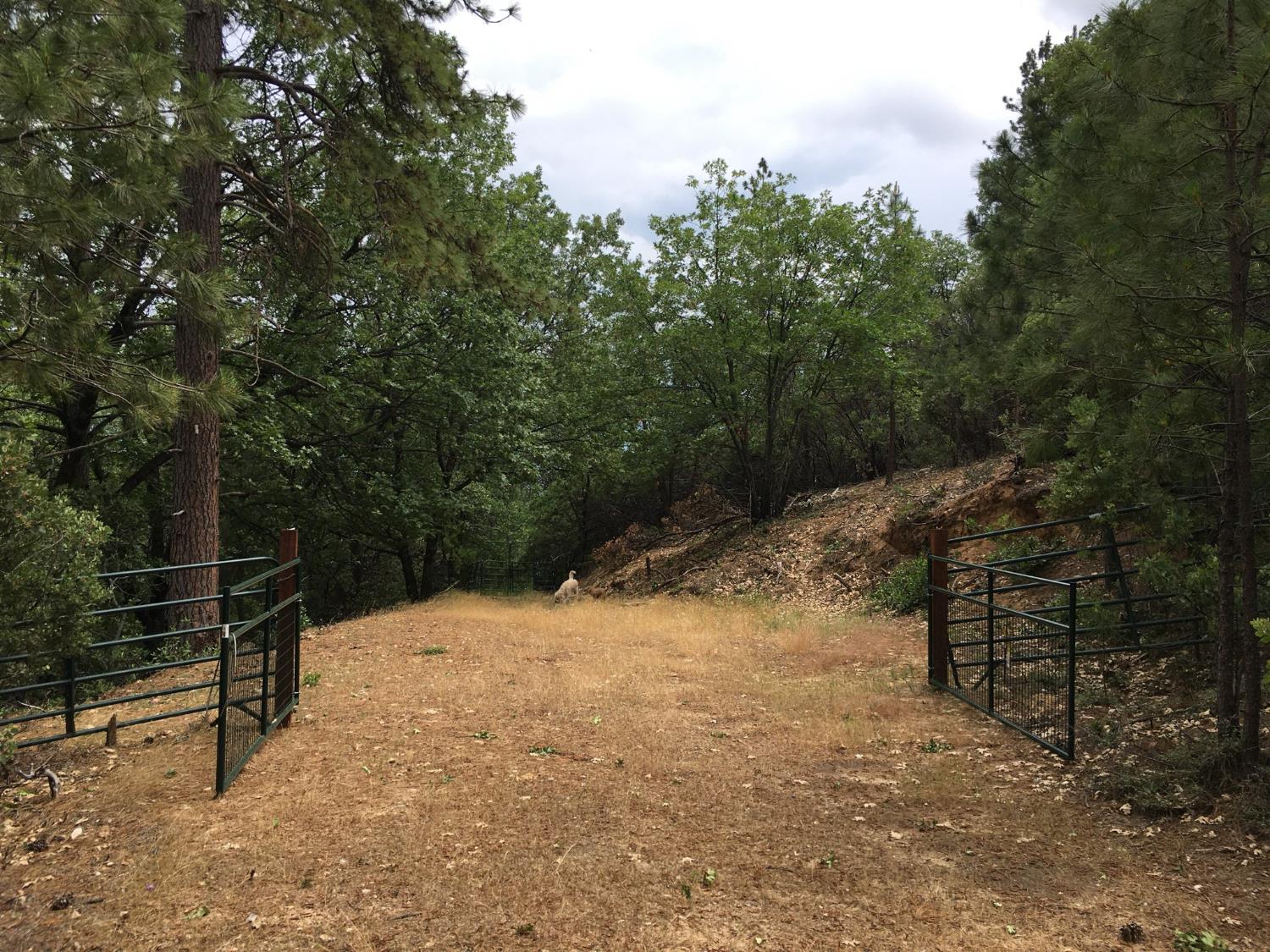 0 Robbers Ravine Road Colfax, CA 95713 - Photo 1 of 4