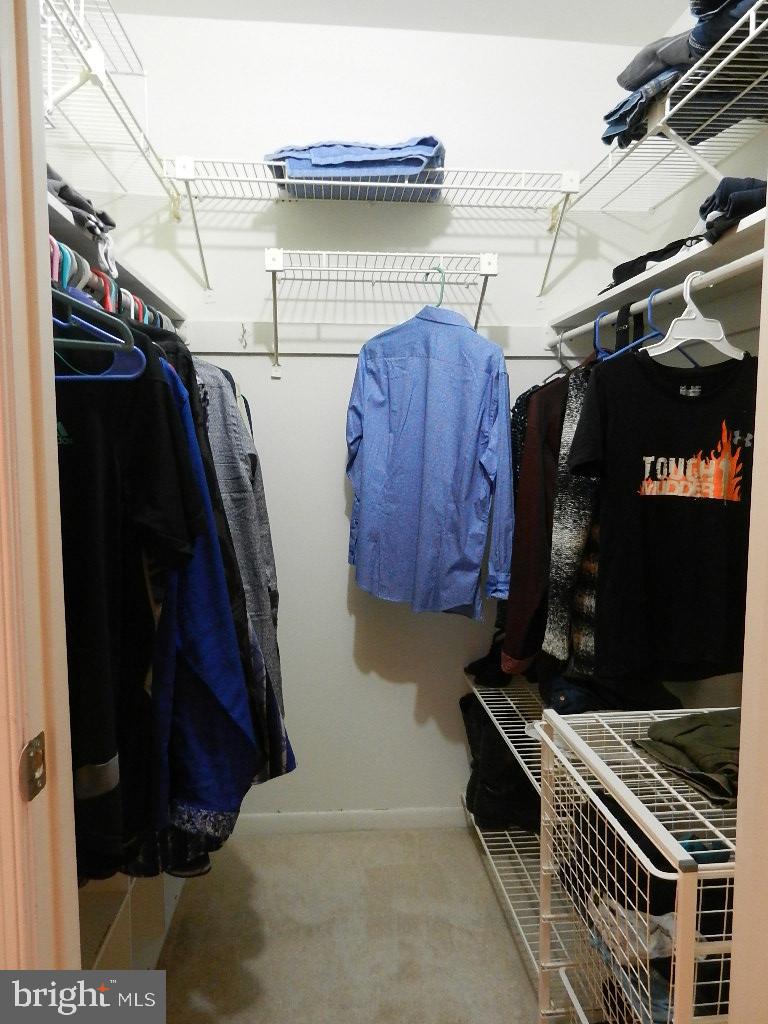 11204 Chestnut Grove Square, Unit 306 Reston, VA 20190 - Photo 14 of 21 MBR walk-in closet