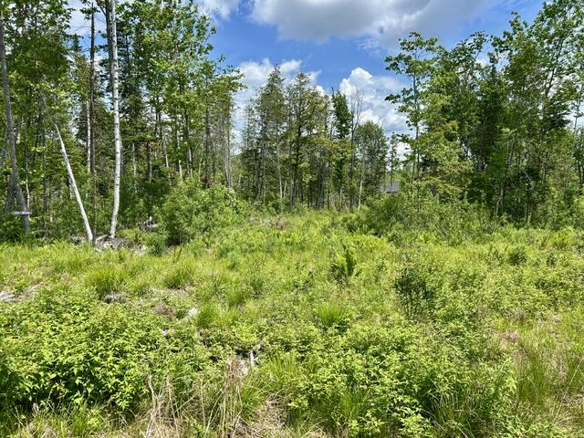 Lot 2 Hammond Brook Road Monson, ME 04464 - Photo 3 of 8
