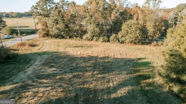 a view of a yard with trees