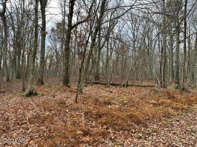 149 Mountain Top Road Lackawaxen, PA 18435 - Photo 6 of 13