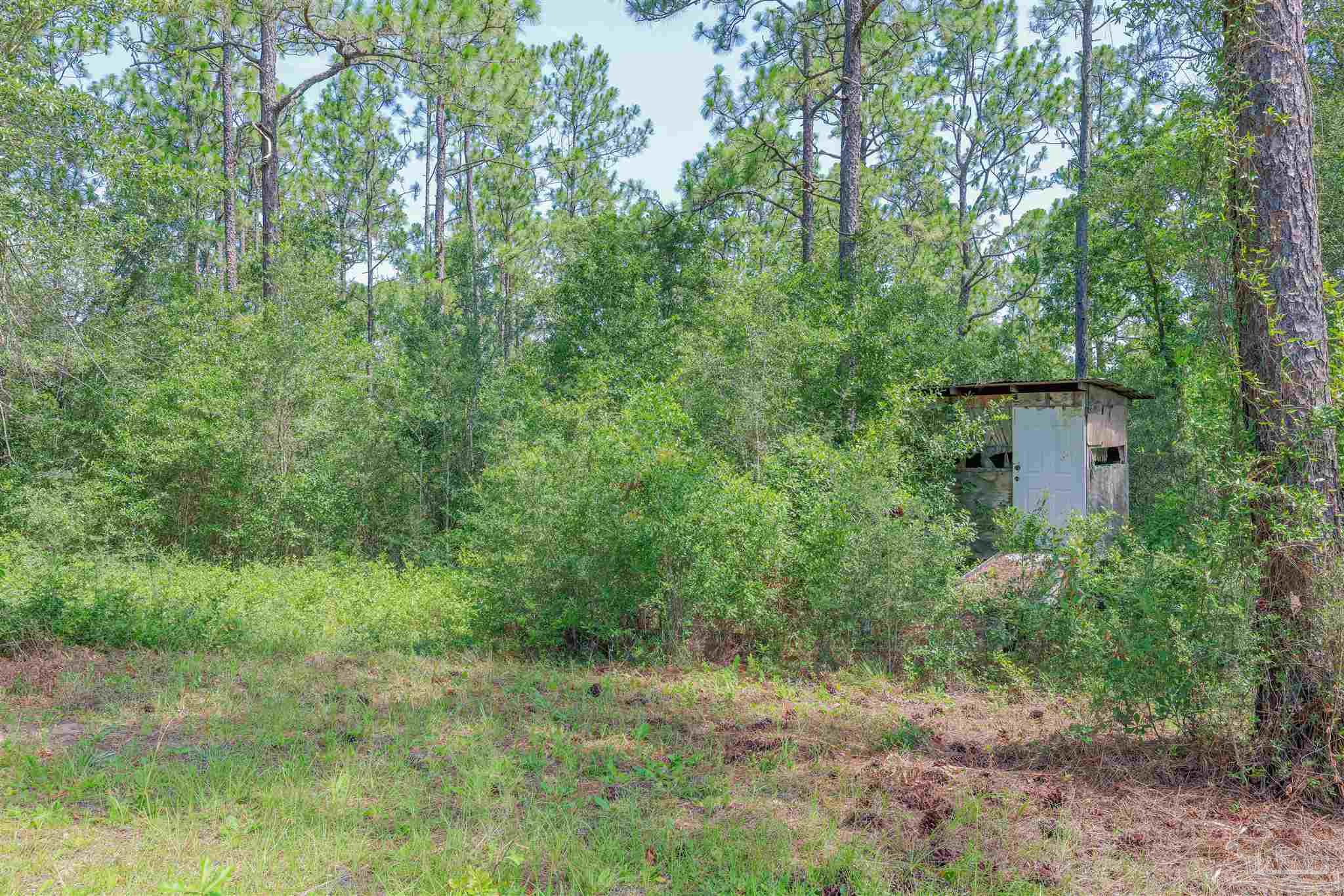 1400 Jacks Branch Road Cantonment, FL 32533 - Photo 14 of 18