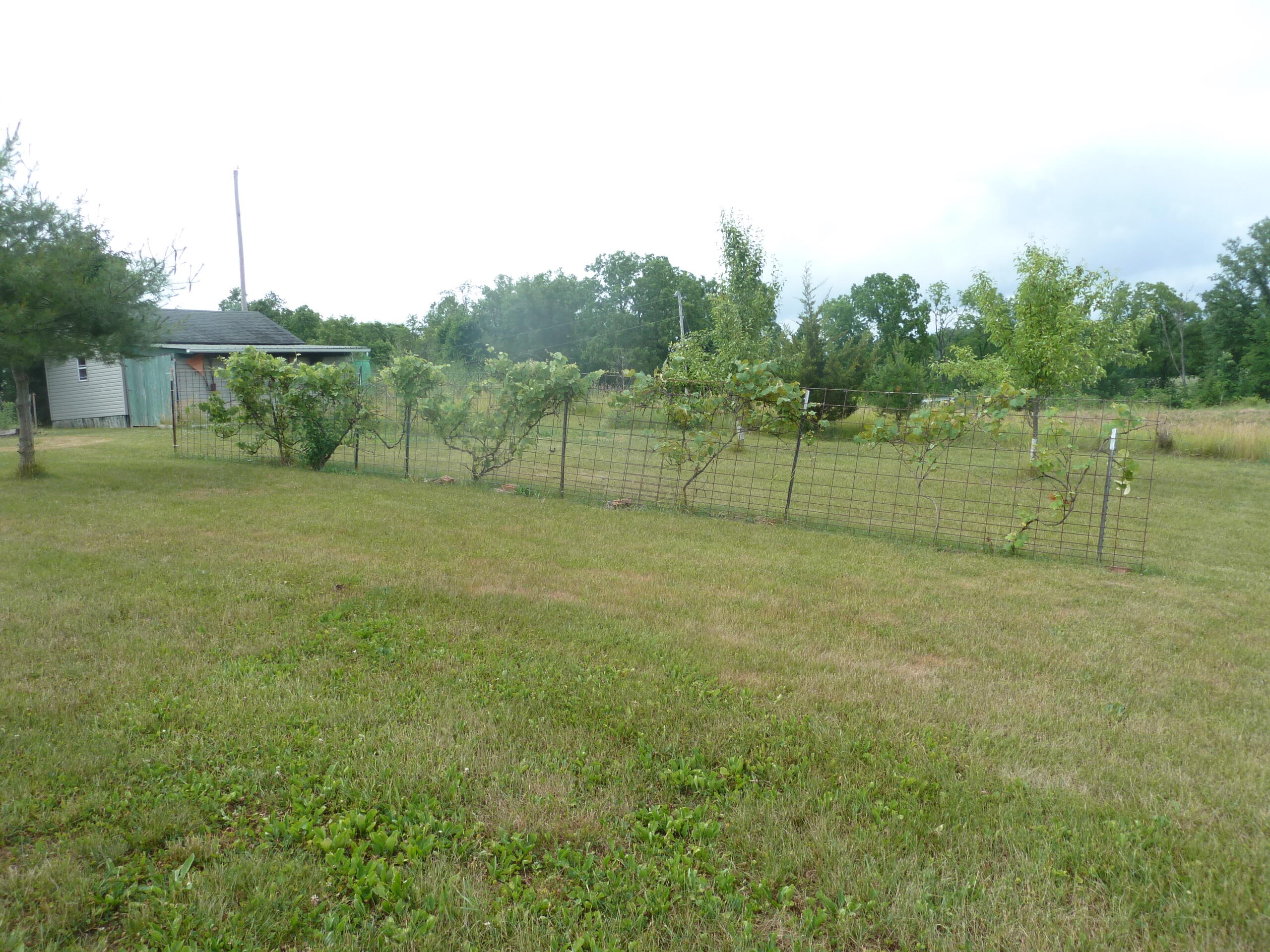 8294 West Territorial Road Montgomery, MI 49255 - Photo 14 of 94 P1160488