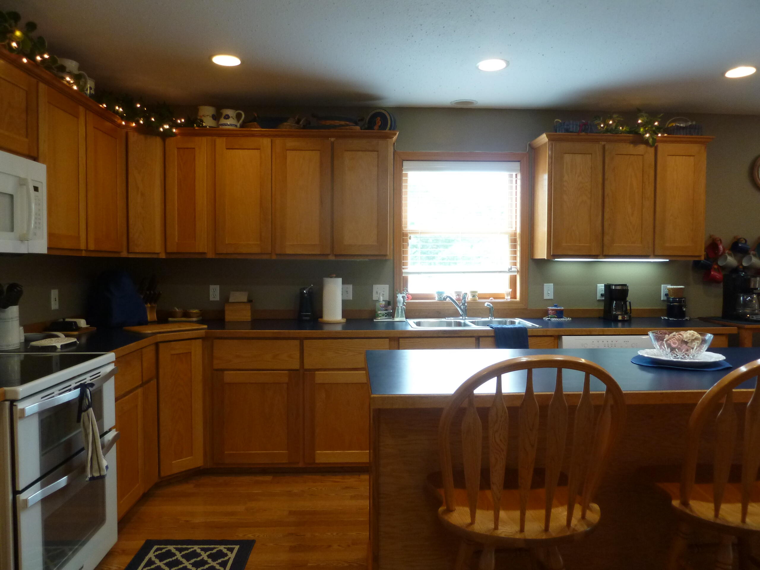 8294 West Territorial Road Montgomery, MI 49255 - Photo 42 of 94 P1160517