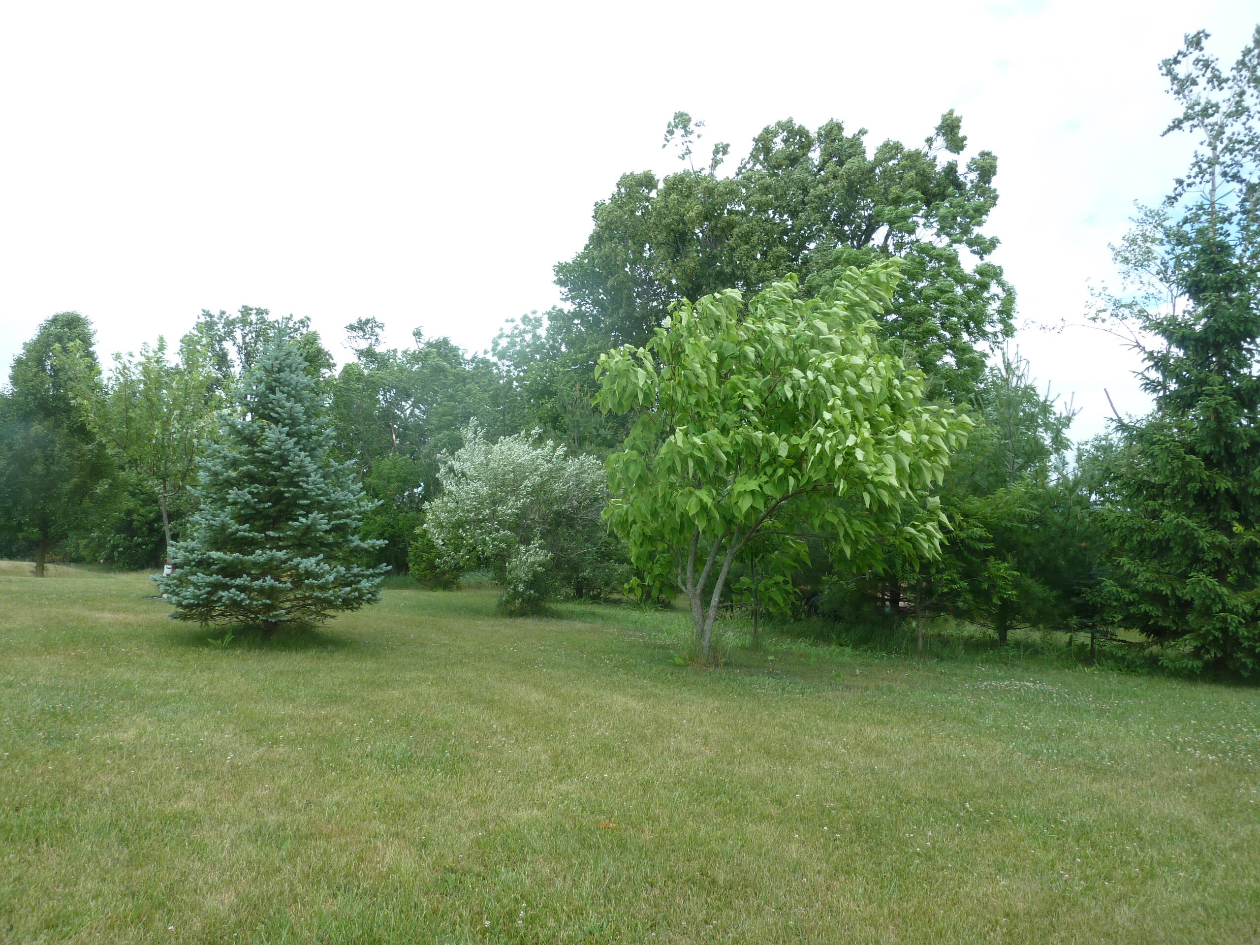 8294 West Territorial Road Montgomery, MI 49255 - Photo 9 of 94 P1160482
