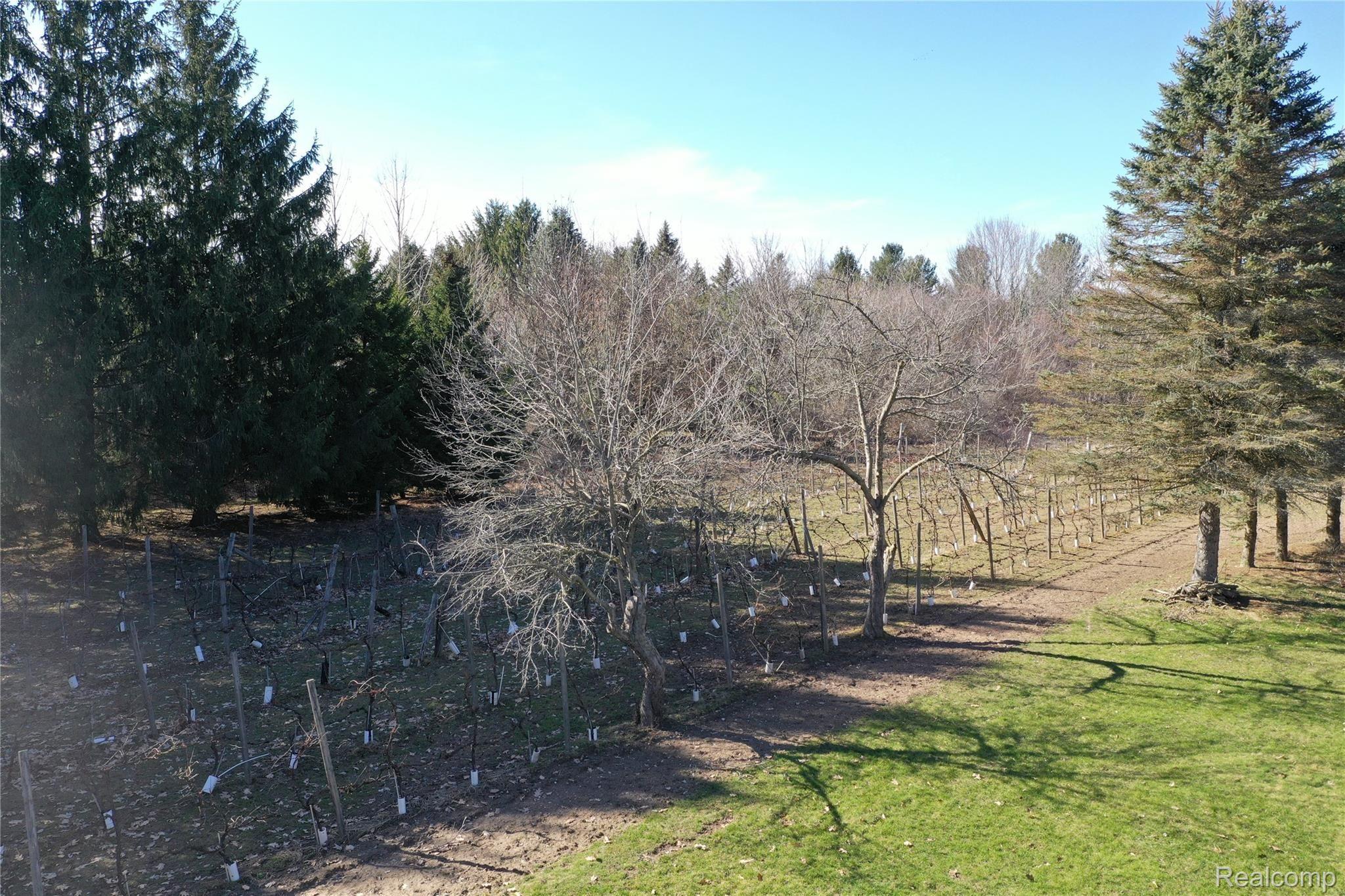 3679 Daley Road Attica, MI 48412 - Photo 68 of 74 DJI_0176.JPG