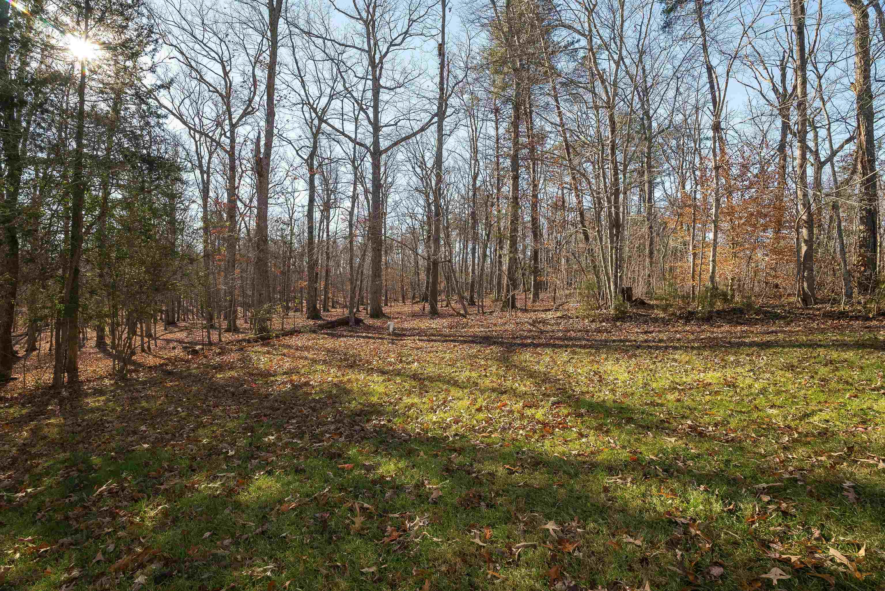 6415 Esmont Road Keene, VA 22946 - Photo 34 of 34 Gallery Image 34