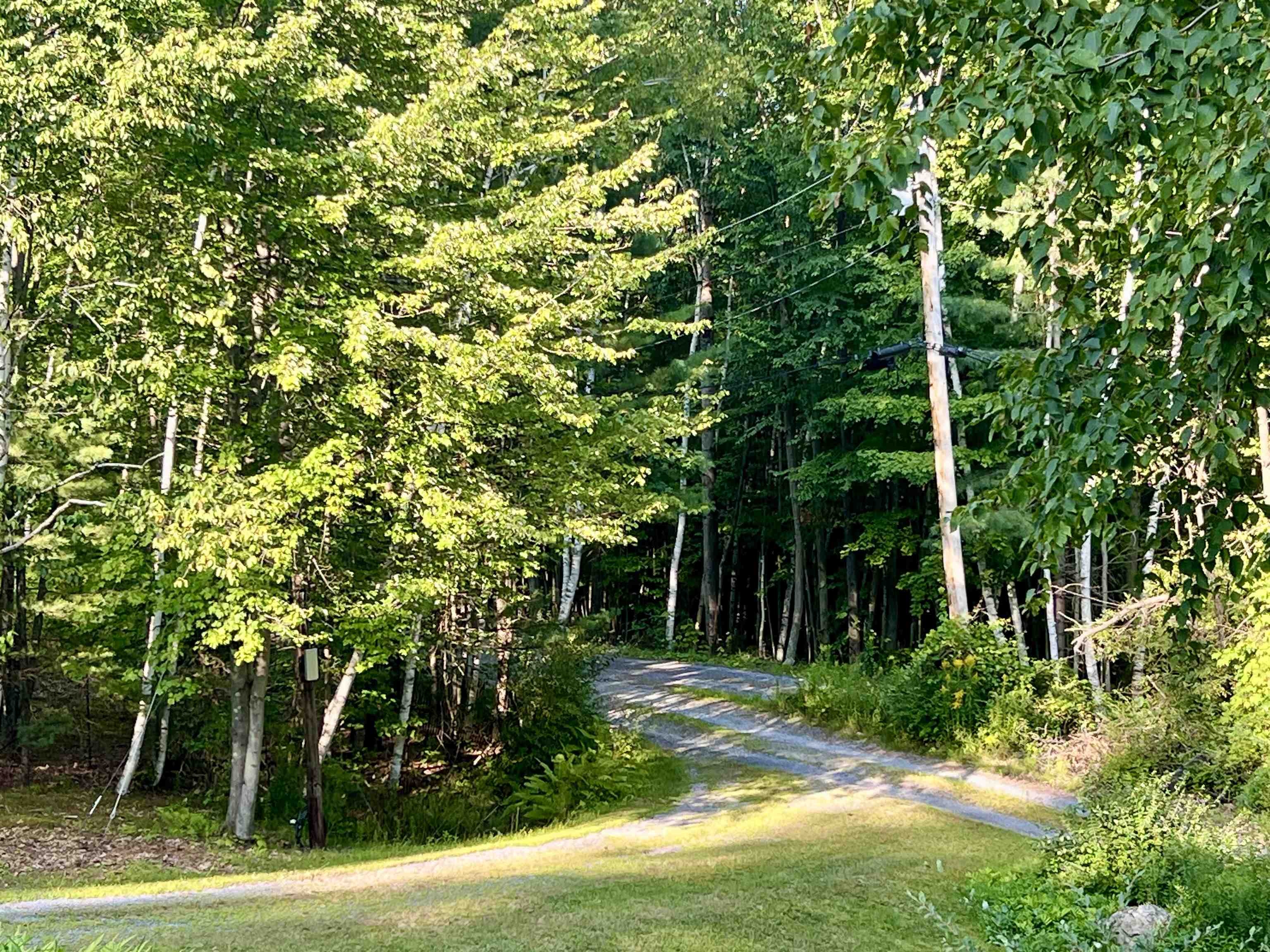 100 Walsh Road Sandgate, VT 05250 - Photo 13 of 42