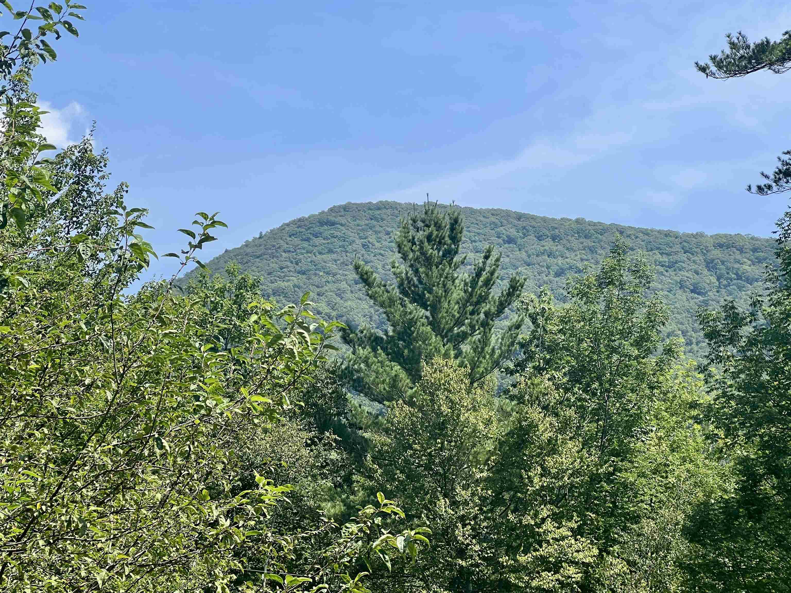 100 Walsh Road Sandgate, VT 05250 - Photo 8 of 42