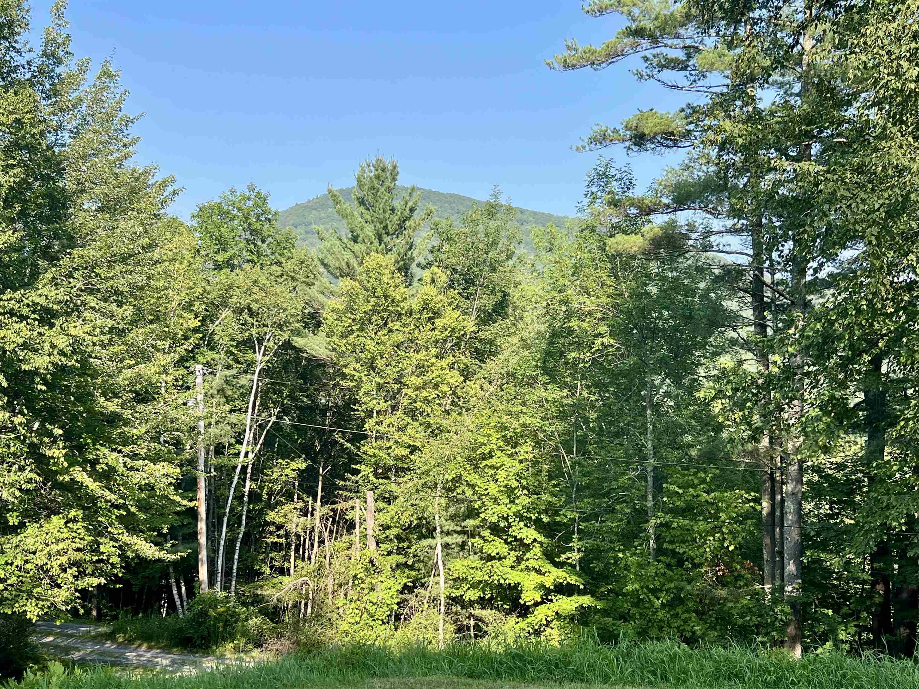 100 Walsh Road Sandgate, VT 05250 - Photo 10 of 42