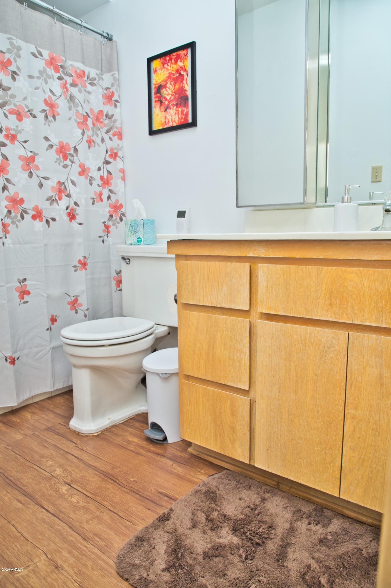 5510 Covina Road Mesa, AZ 85205 - Photo 31 of 38 Master Bath
