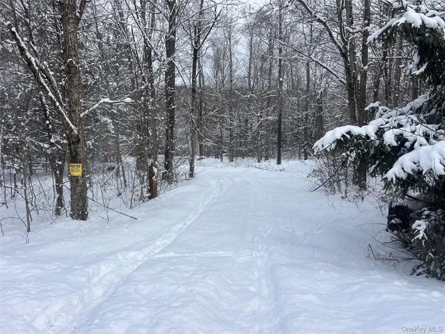 a view of a covered with snow in the yard