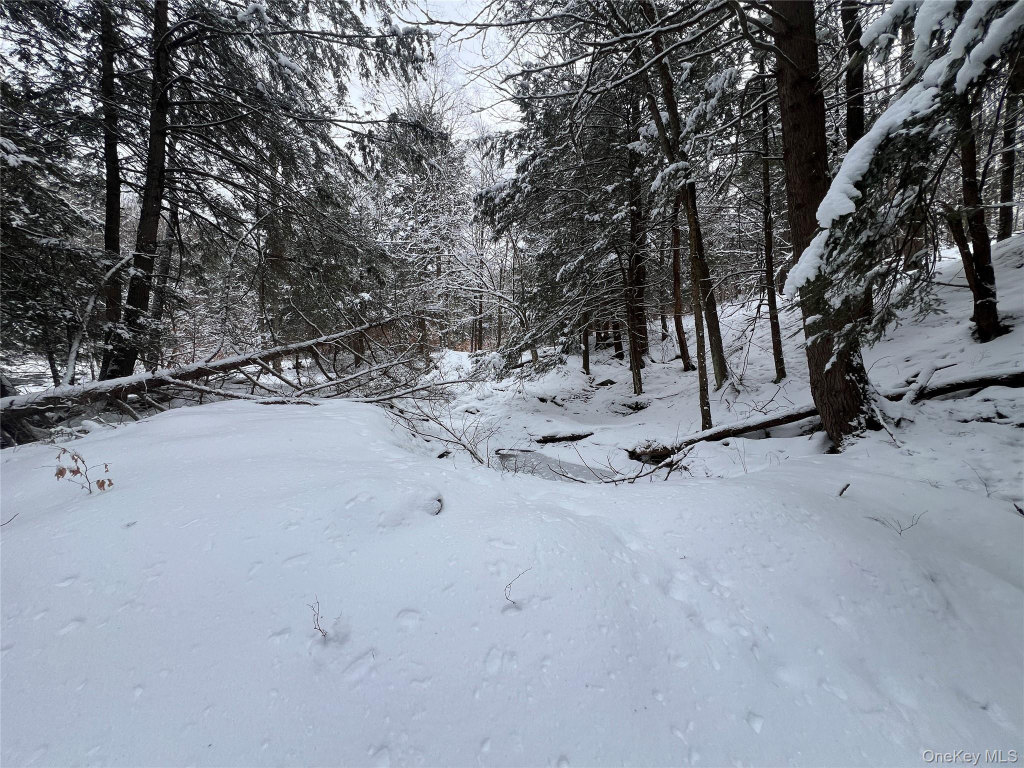 Methol Road Hancock, NY 13783 - Photo 11 of 12