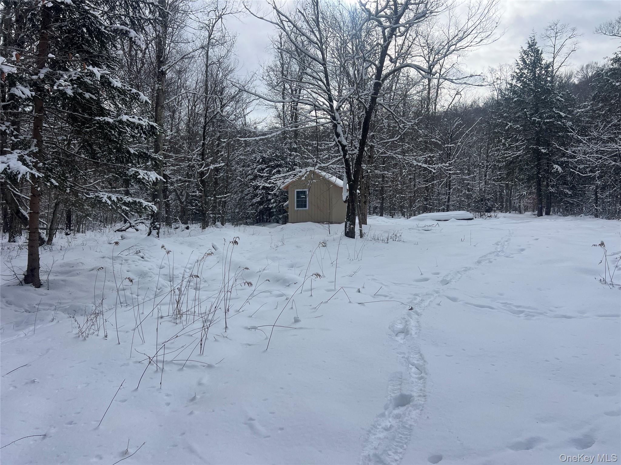 Methol Road Hancock, NY 13783 - Photo 2 of 12