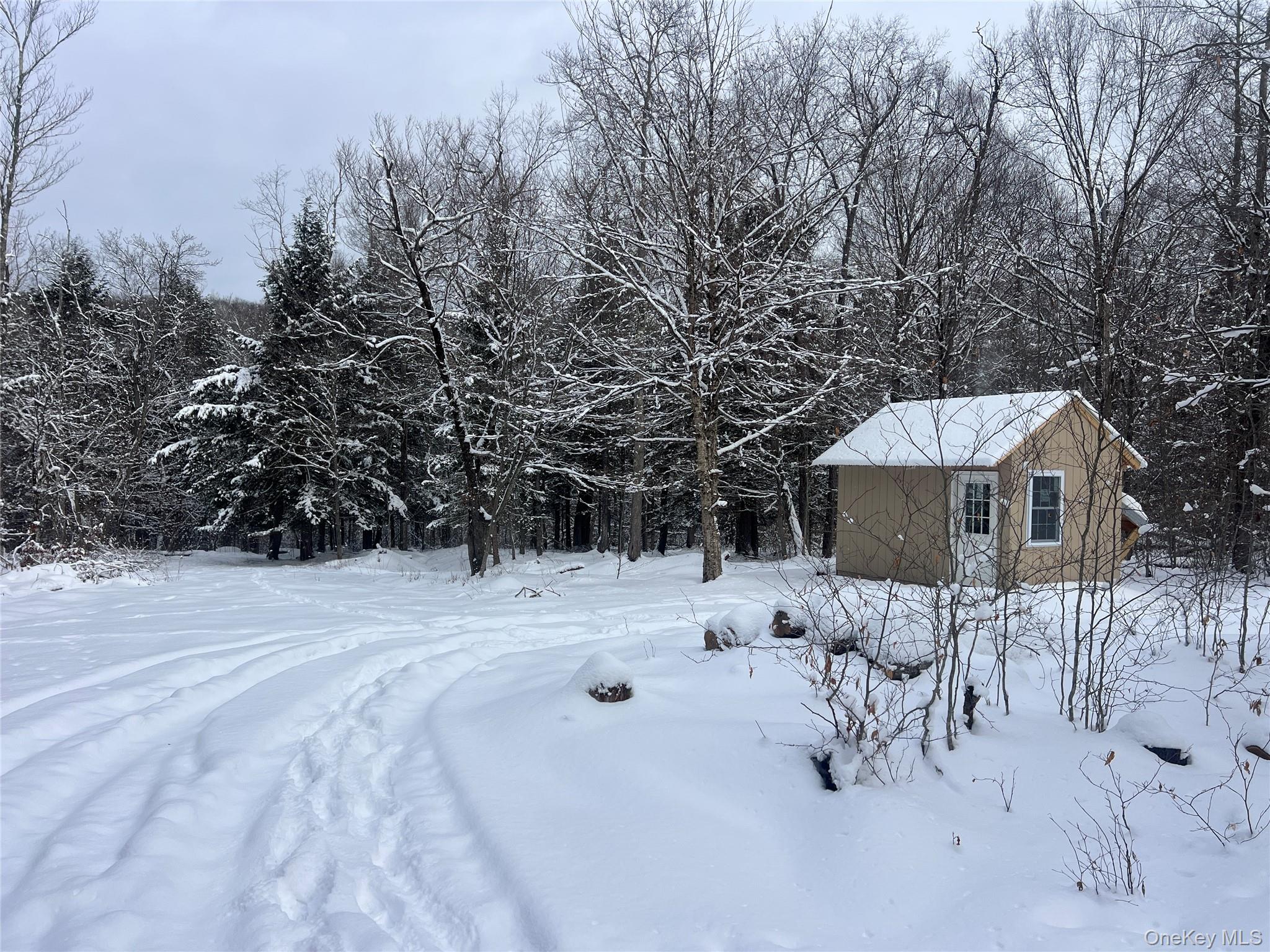 Methol Road Hancock, NY 13783 - Photo 3 of 12