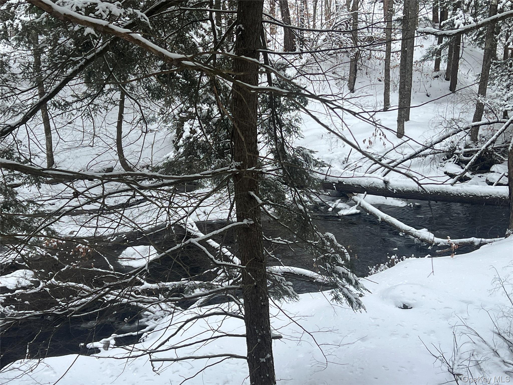 Methol Road Hancock, NY 13783 - Photo 6 of 12