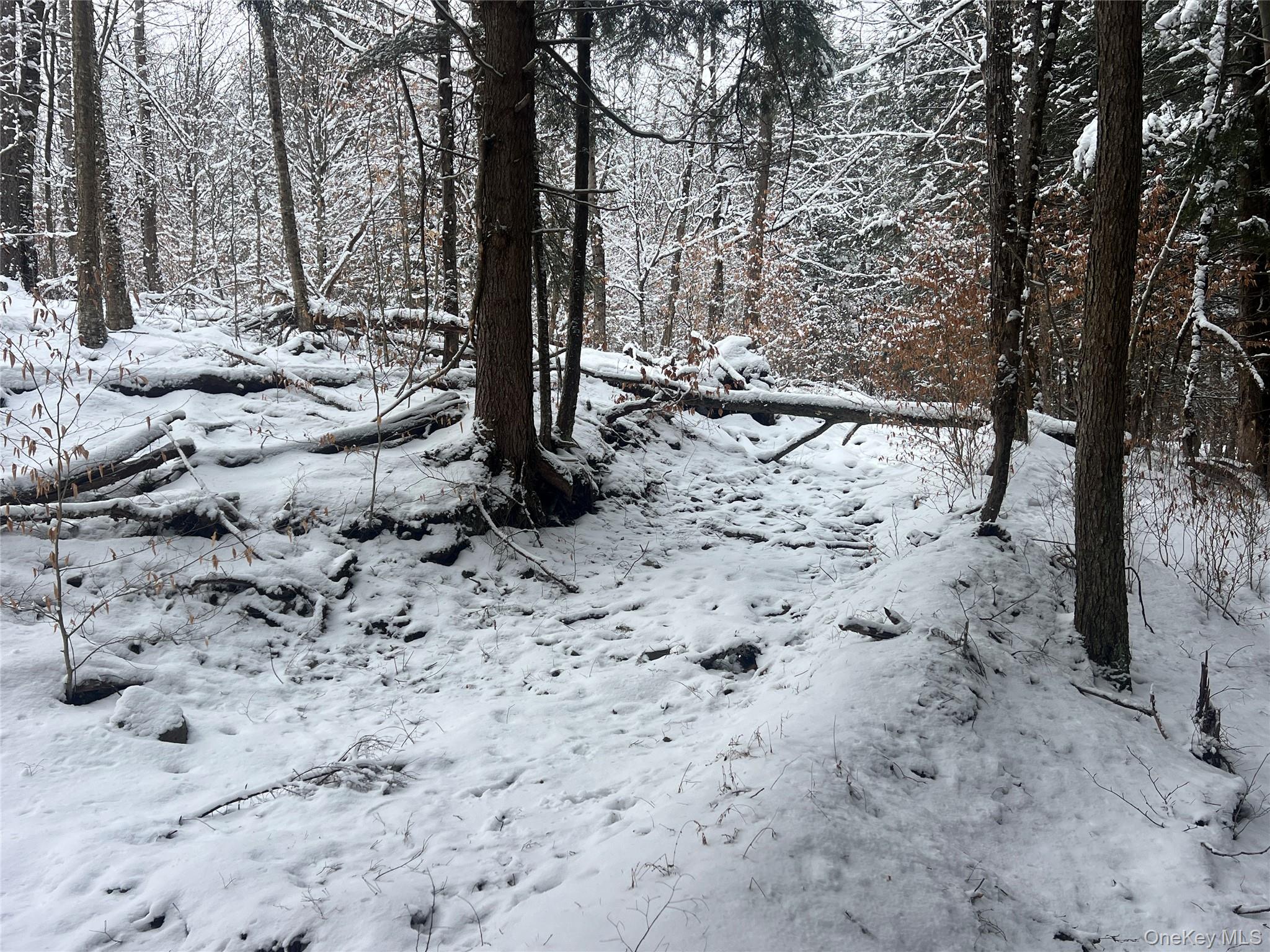 Methol Road Hancock, NY 13783 - Photo 7 of 12