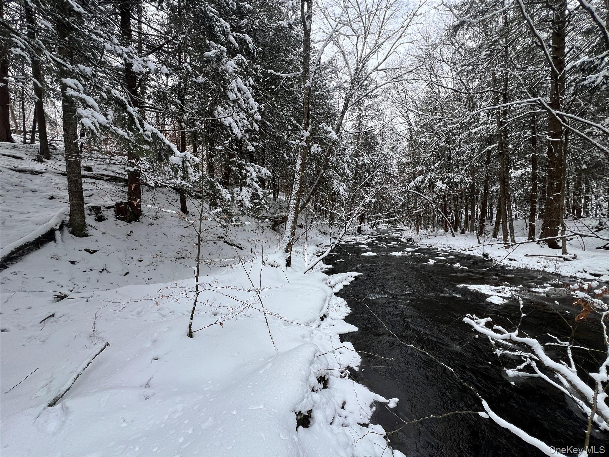 Methol Road Hancock, NY 13783 - Photo 10 of 12