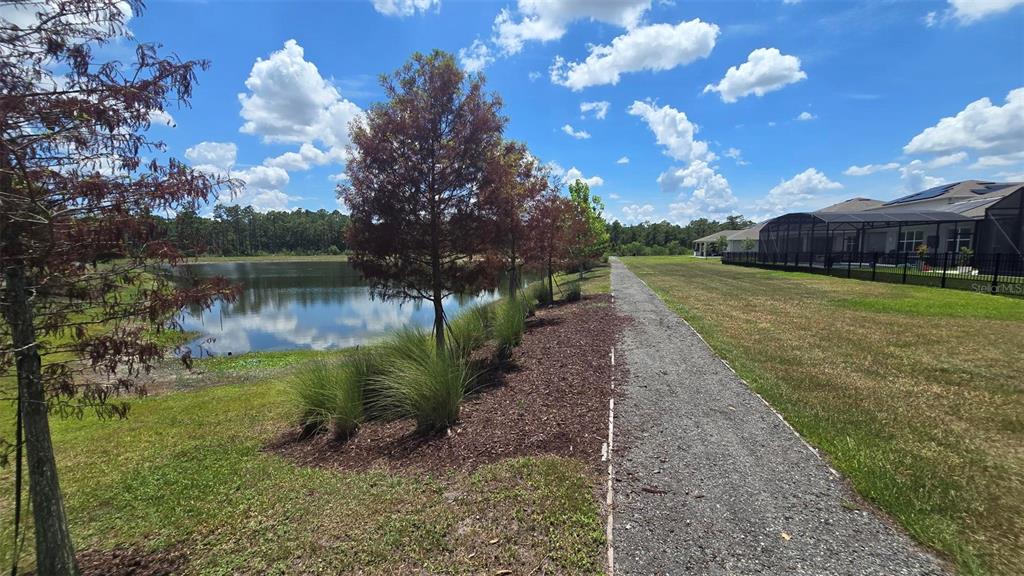 6114 Arbor Watch Loop Orlando, FL 32829 - Photo 45 of 59