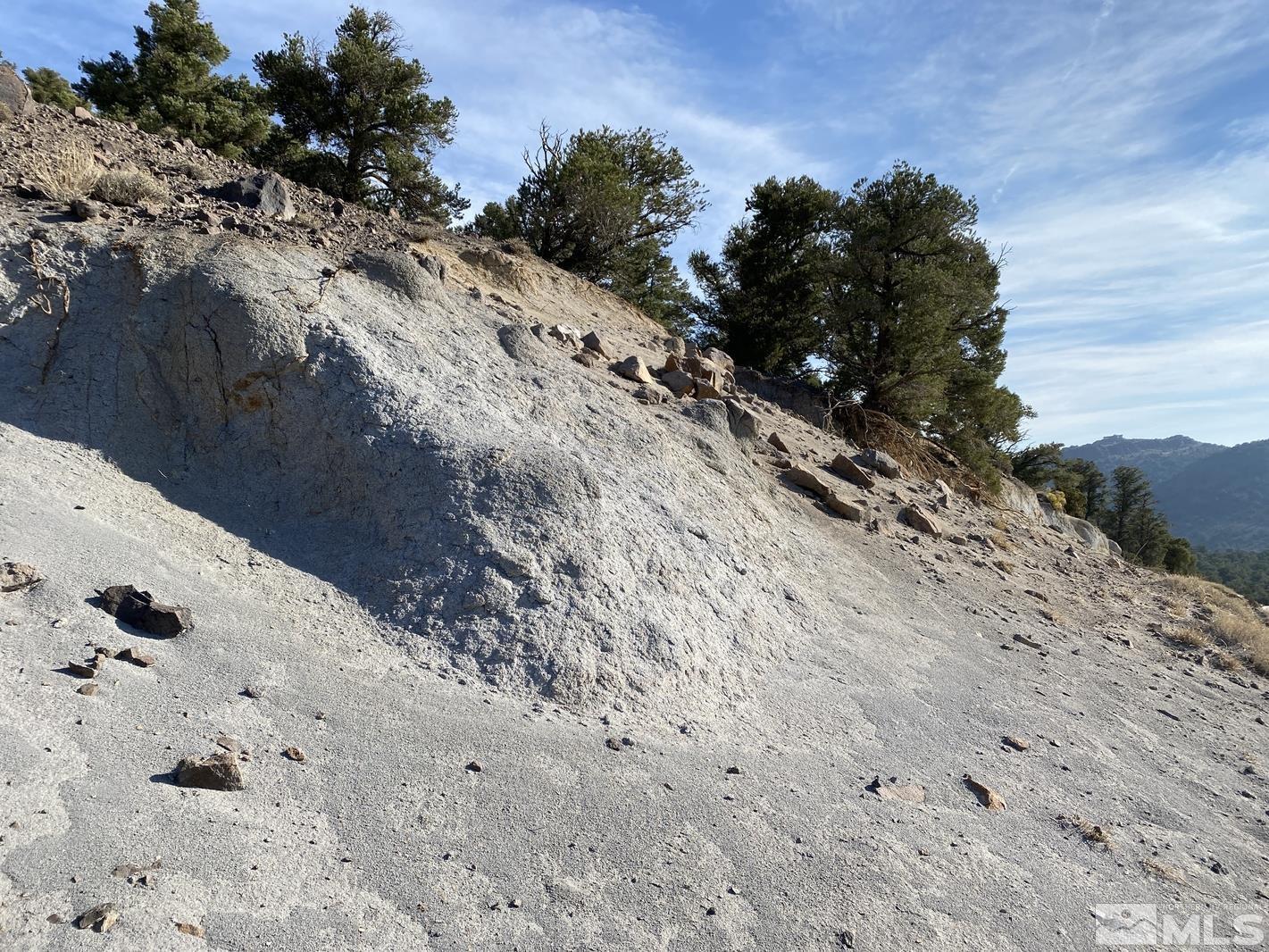 2040 Scorpion Road Reno, NV 89521 - Photo 3 of 10 Photo 3