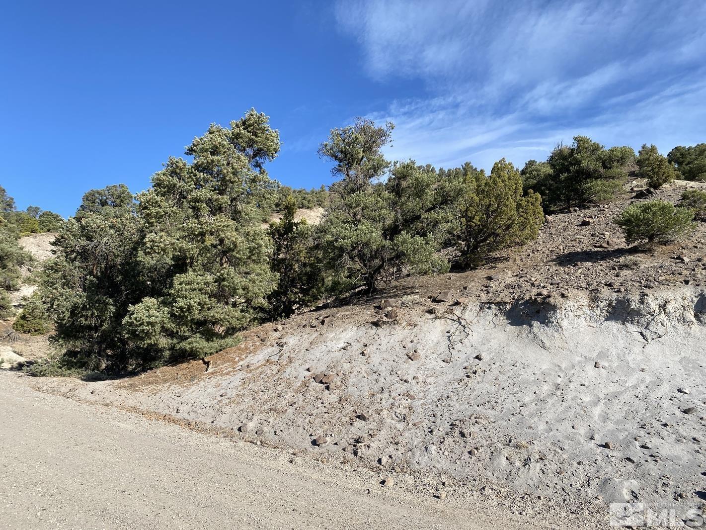 2040 Scorpion Road Reno, NV 89521 - Photo 4 of 10 Photo 4