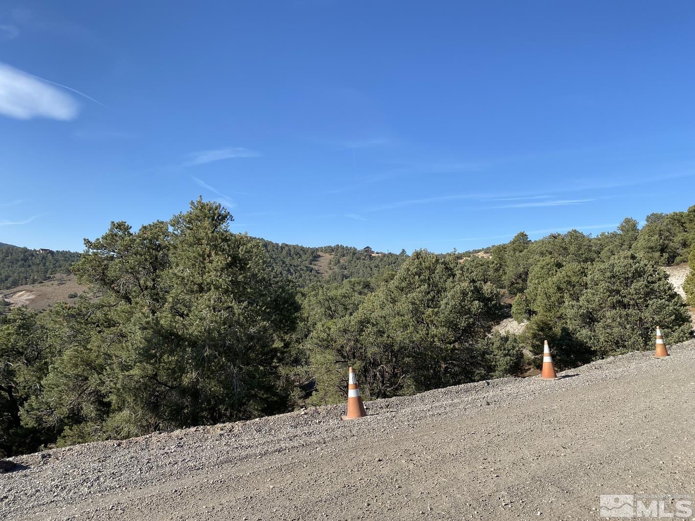 2040 Scorpion Road Reno, NV 89521 - Photo 6 of 10 Photo 6