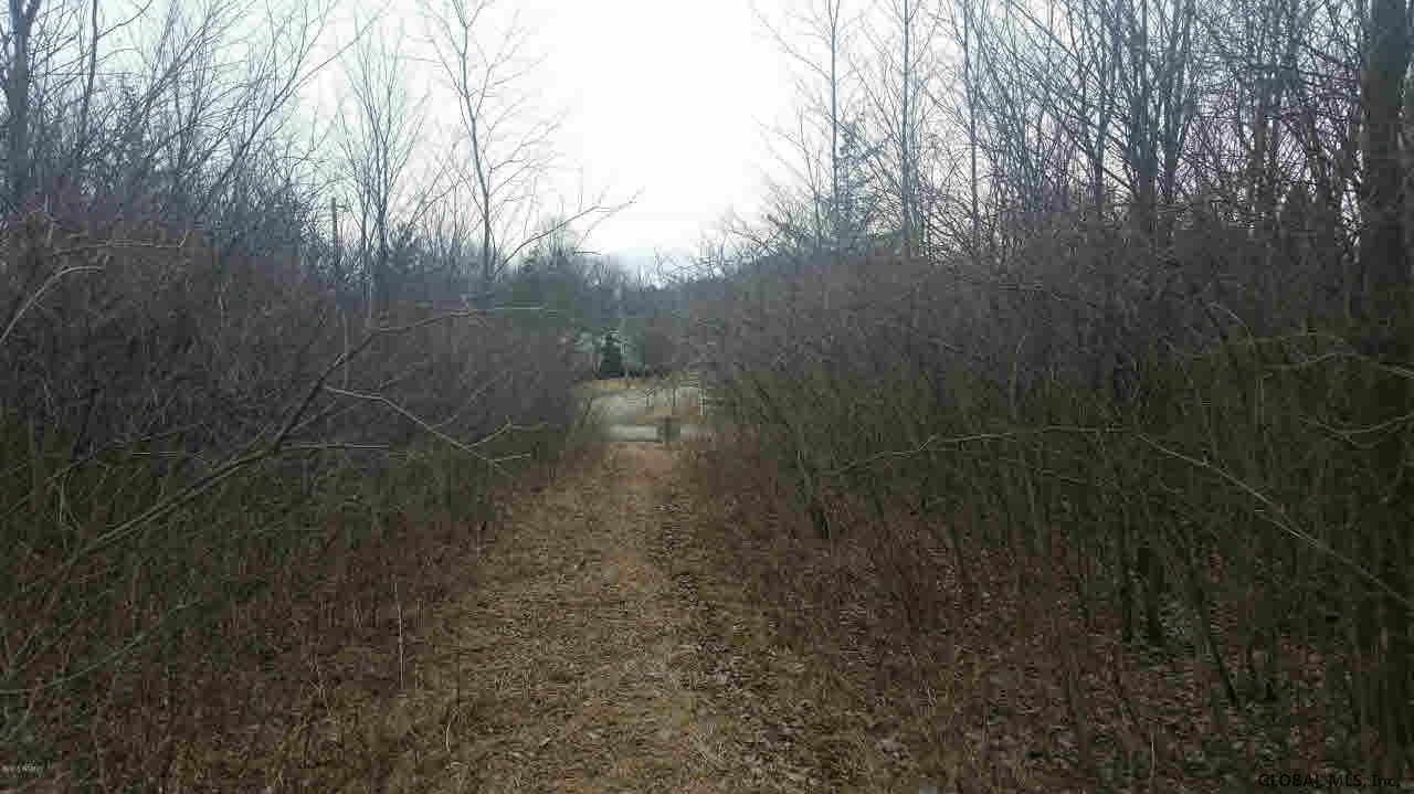 0 Haviland Road Fort Ann, NY 12827 - Photo 2 of 3 Photo 2