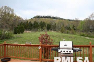 5100 Lick Creek Road Buncombe, IL 62912 - Photo 4 of 15 Gallery Image 4