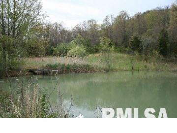5100 Lick Creek Road Buncombe, IL 62912 - Photo 7 of 15 Gallery Image 7