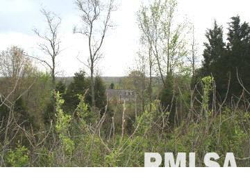 5100 Lick Creek Road Buncombe, IL 62912 - Photo 8 of 15 Gallery Image 8