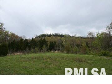 5100 Lick Creek Road Buncombe, IL 62912 - Photo 9 of 15 Gallery Image 9