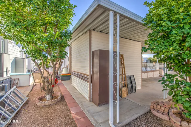 a living room with furniture flower pot and a fireplace