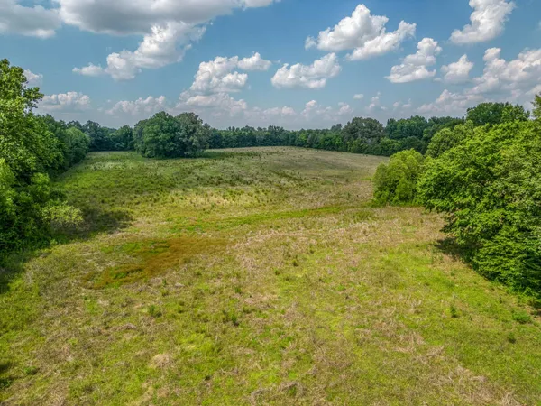 a view of a lake with houses in the background