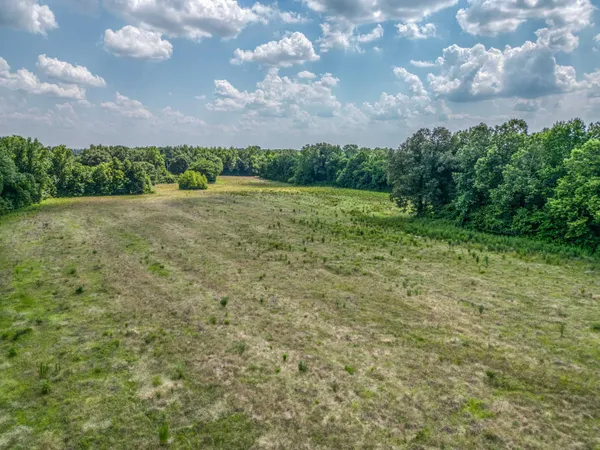 a view of a big yard with lots of green space