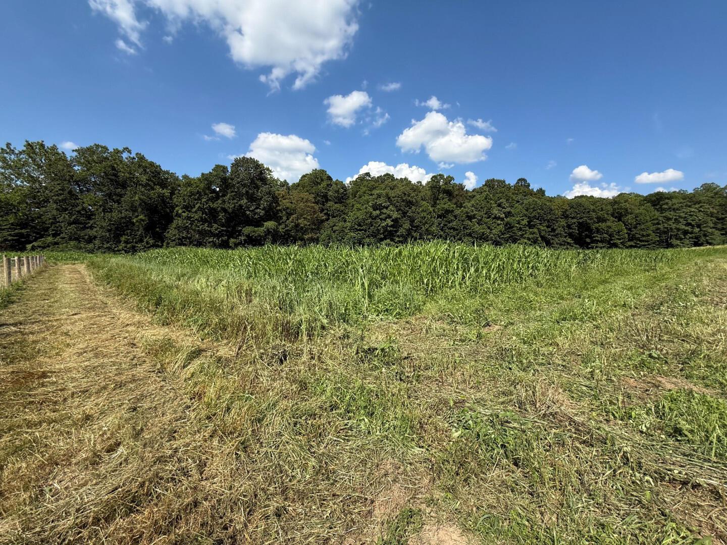 0 Schmidt Road Bainbridge, OH 45612 - Photo 15 of 59 0 Schmidt Rd (16 of 60)