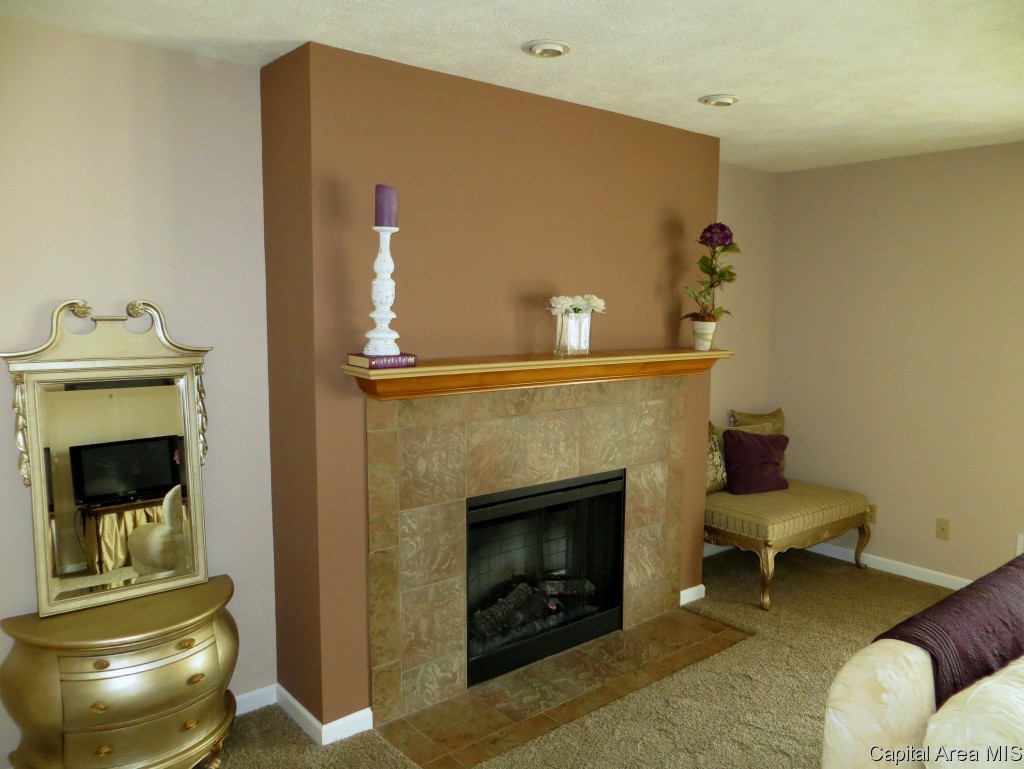 2919 South Meadowbrook Road, Unit 1 Springfield, IL 62711 - Photo 4 of 23