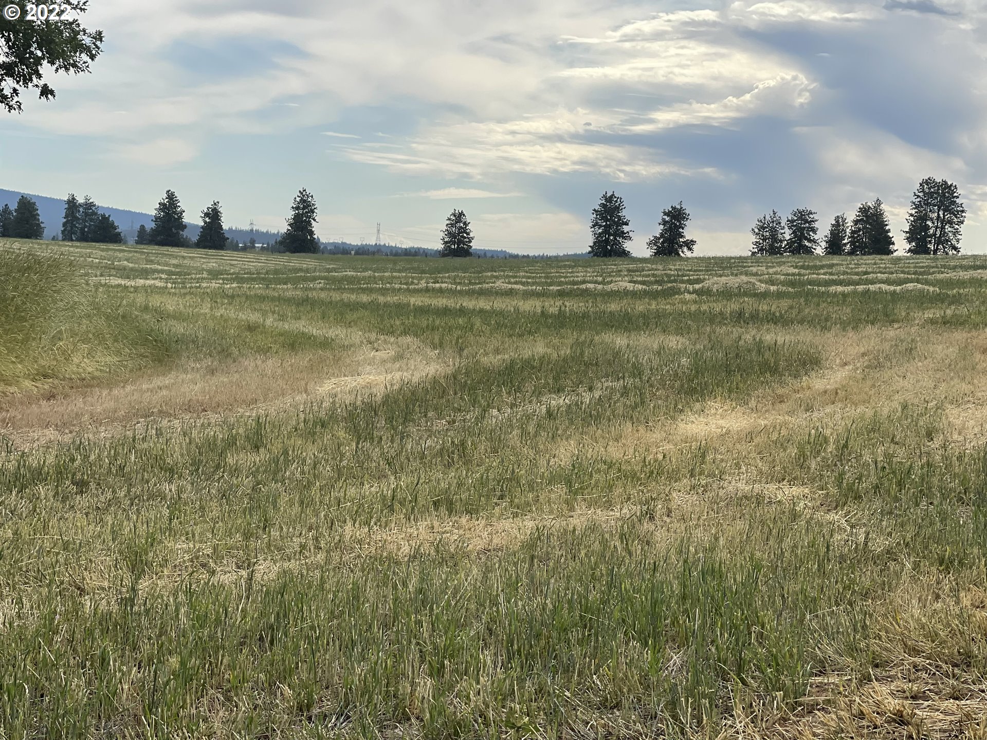 East Winterstein Road, Unit 3 Goldendale, WA 98620 - Photo 14 of 21 Gallery Image 14