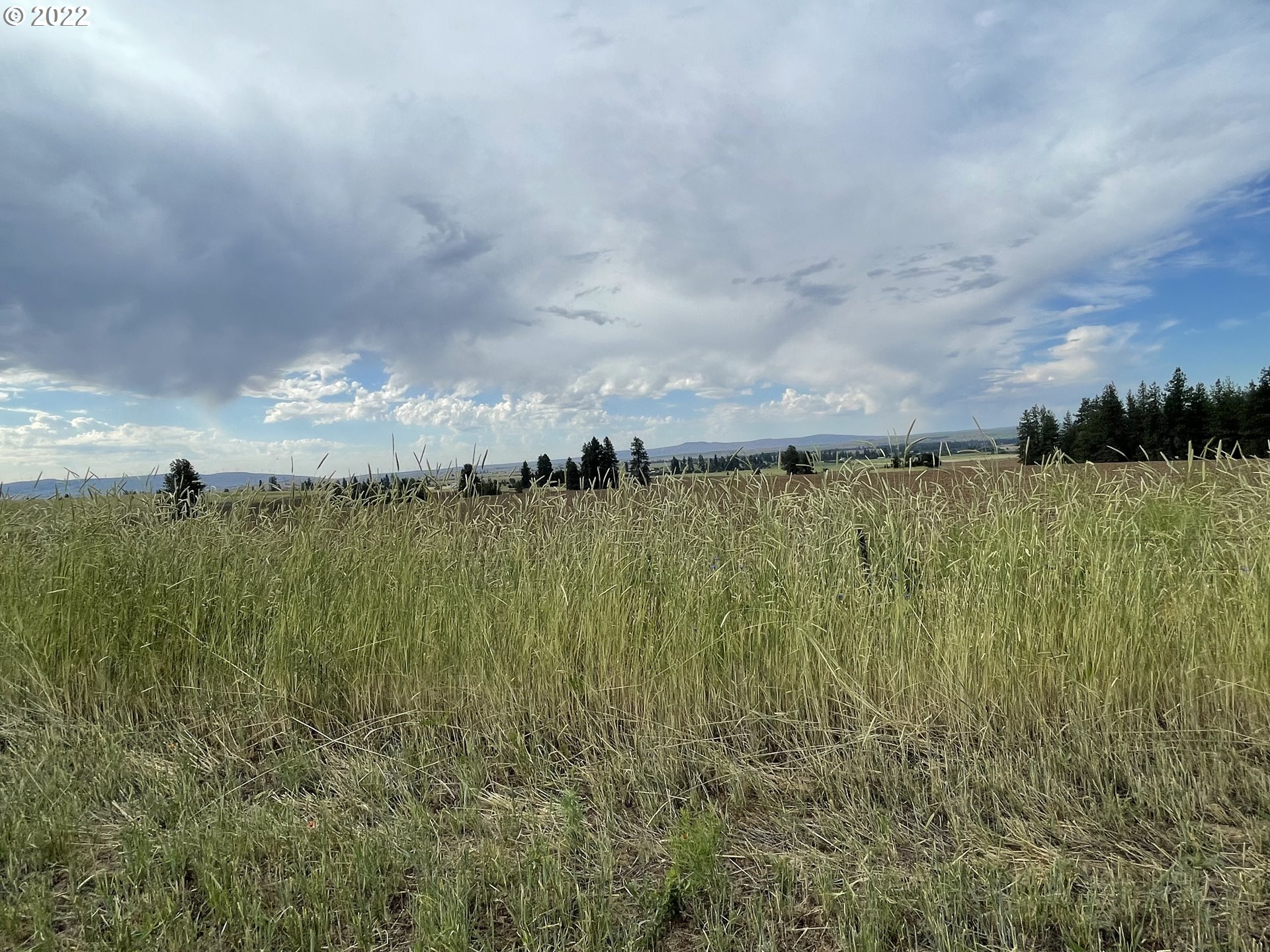 East Winterstein Road, Unit 3 Goldendale, WA 98620 - Photo 5 of 21 Gallery Image 5