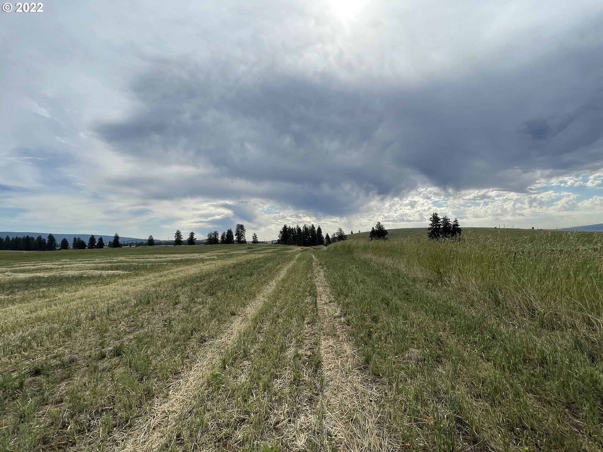 East Winterstein Road, Unit 3 Goldendale, WA 98620 - Photo 6 of 21 Gallery Image 6