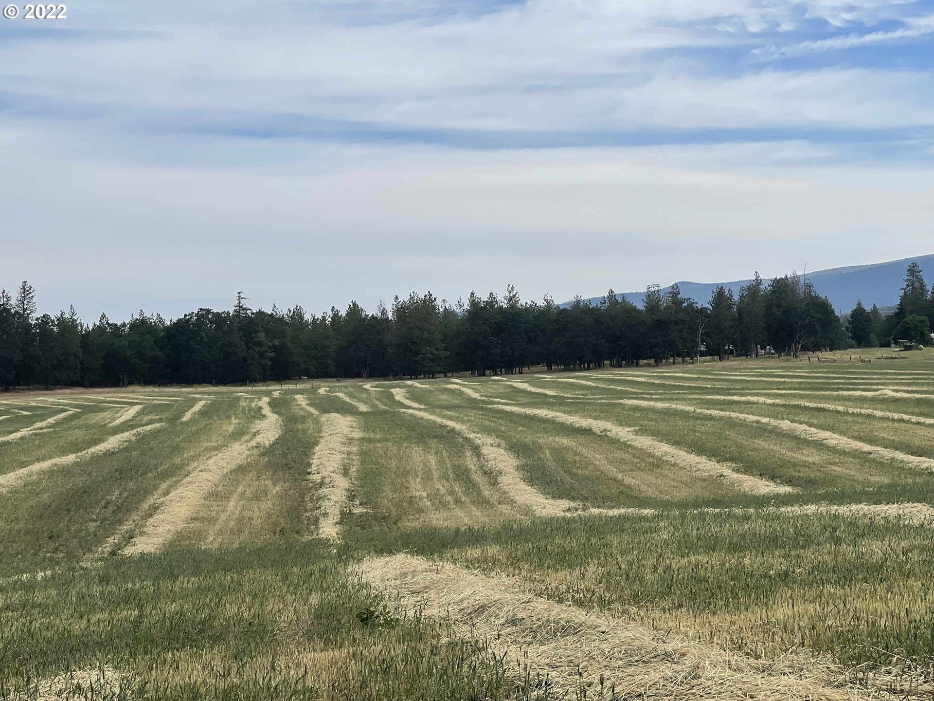 East Winterstein Road, Unit 3 Goldendale, WA 98620 - Photo 8 of 21 Gallery Image 8